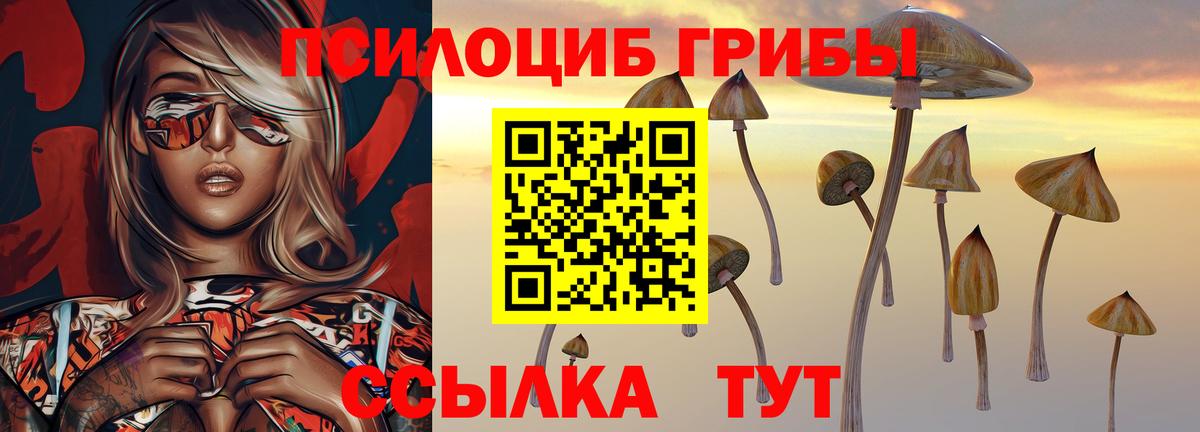 Галлюциногенные грибы мицелий Радужный